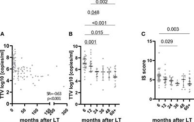 Association of torque teno virus viremia with liver fibrosis in the first year after liver transplantation